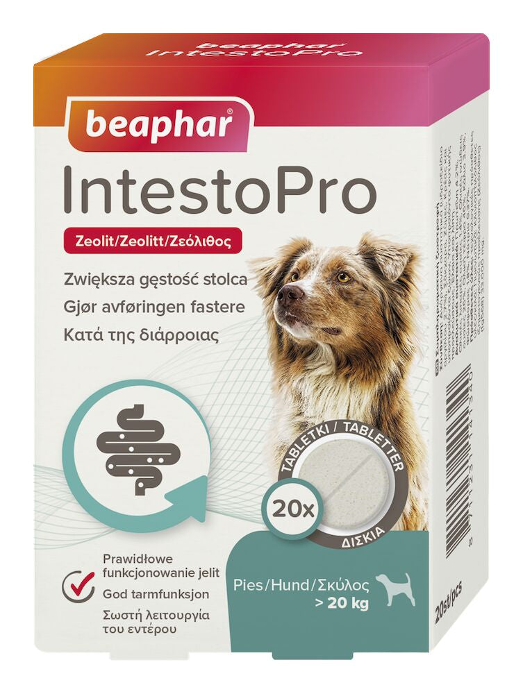 Beaphar IntestoPro Tabletter Hund & katt +20kg