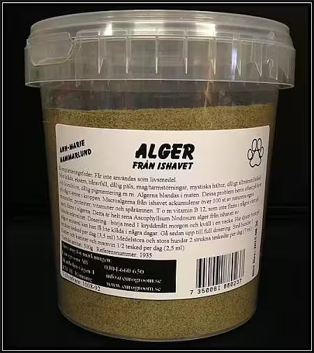 AH Alger från ishavet