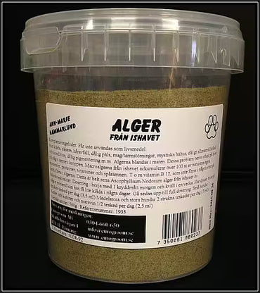 AH Alger från ishavet