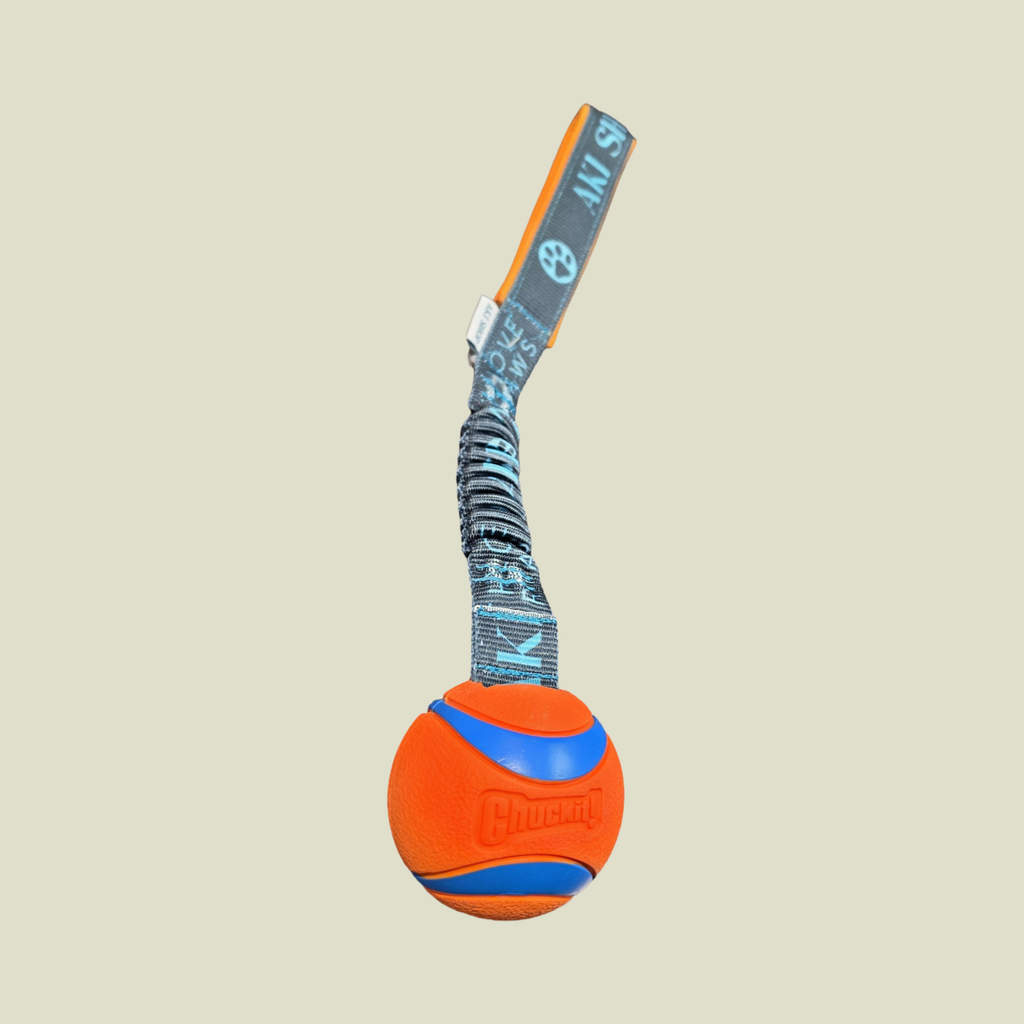 AKI Kampleksak Med Chuckit! Ultra Boll