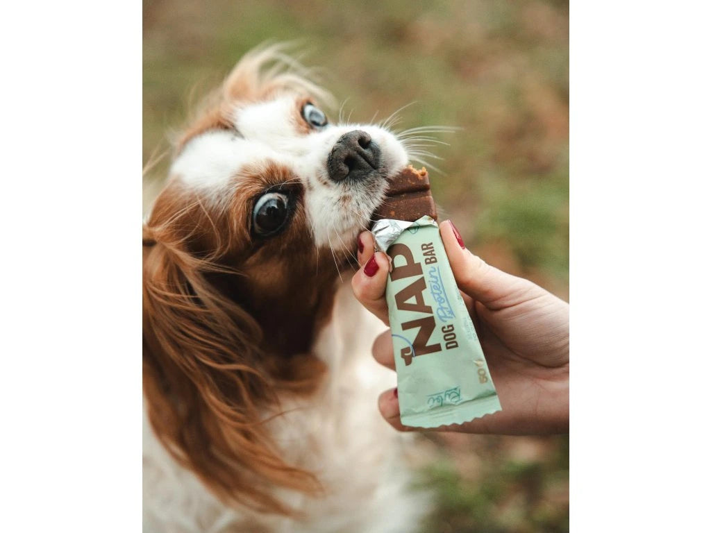 NAP Hundproteinbar - Fisk 50g