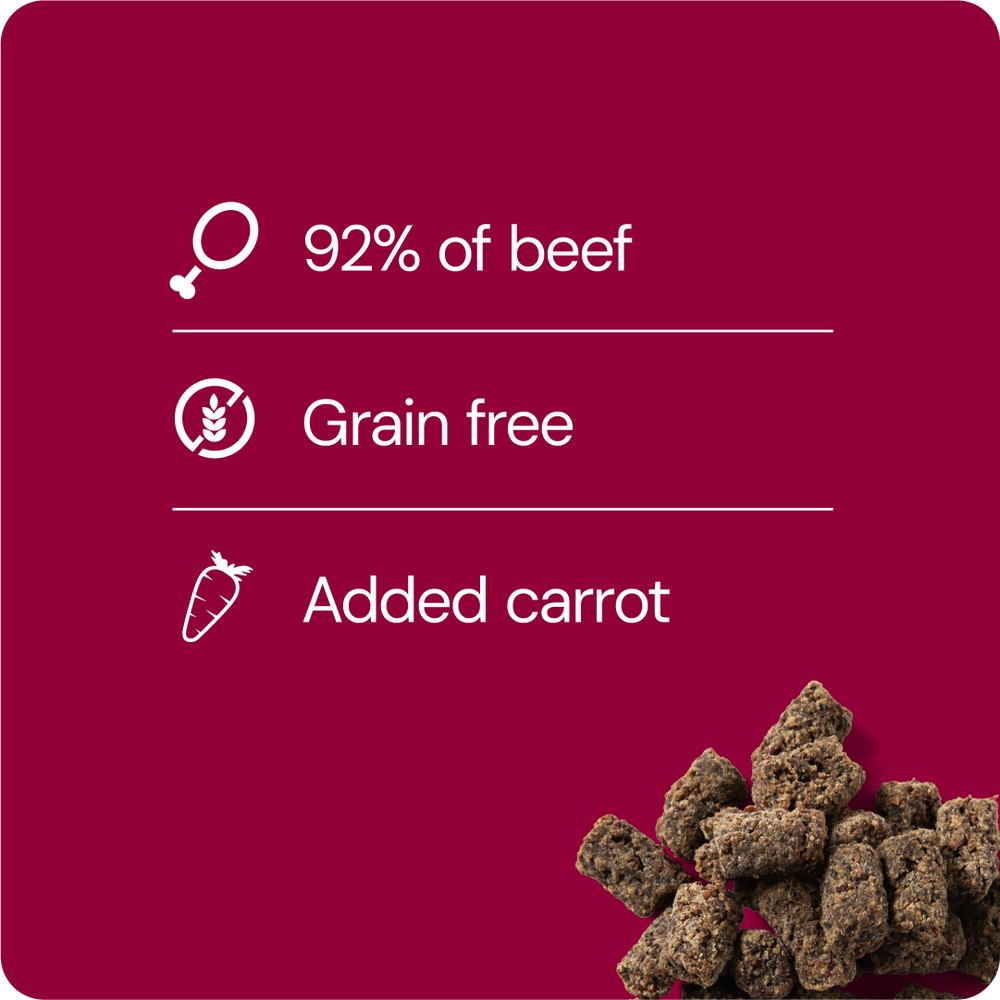 Rauh! Beef-Carrot Treat 100 g