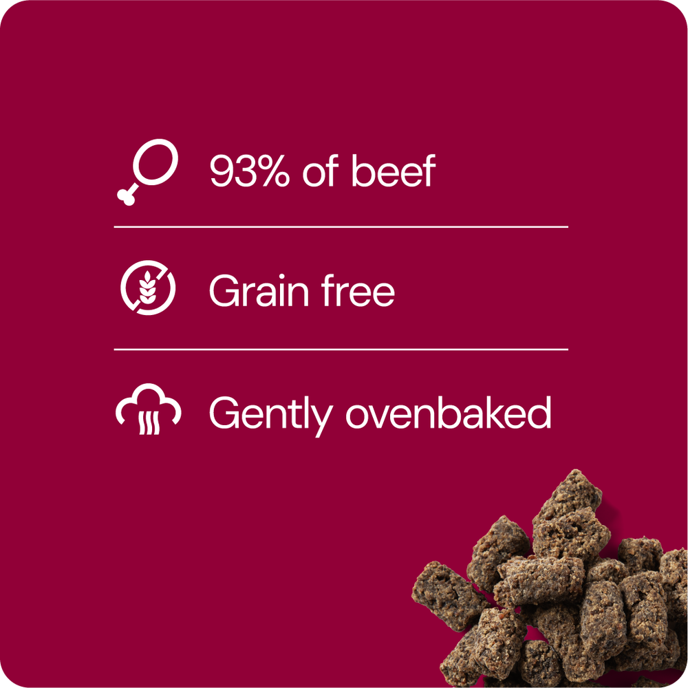 Rauh Liver Treat 100 g