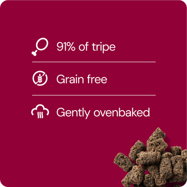 Rauh! Beef Treat 100 g