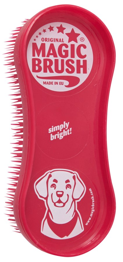 Magic Brush