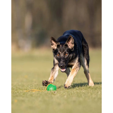 Starmark Gripcord Chew Ball Loop