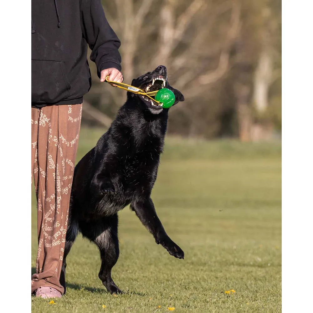 Starmark Gripcord Chew Ball Long