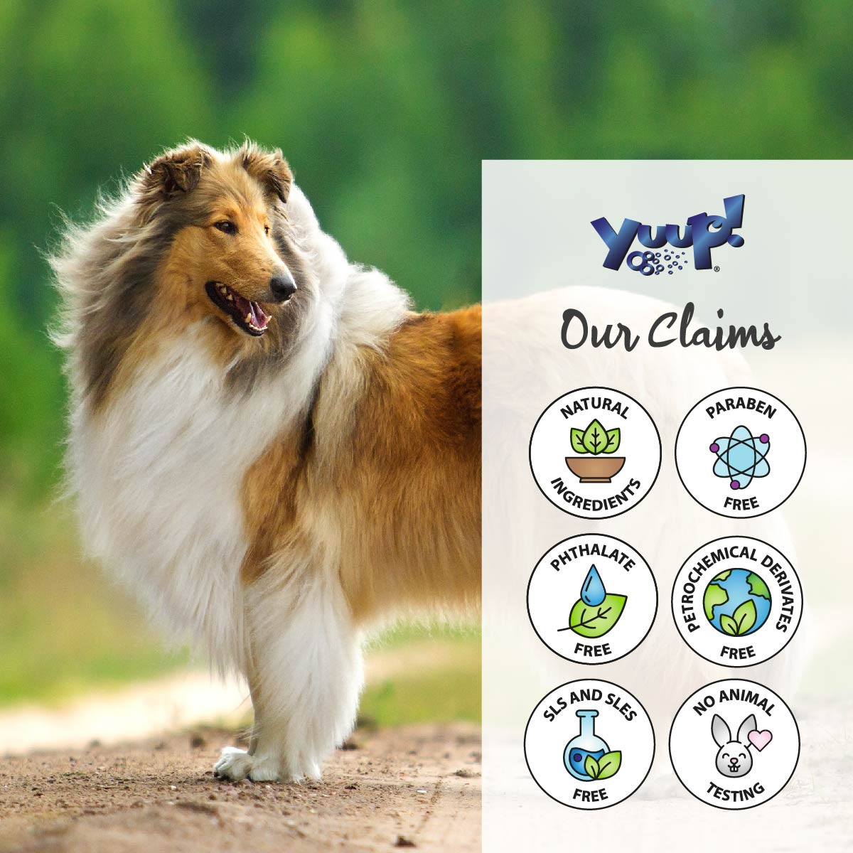 YUUP! Kit til langhårede hunde