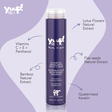Yuup! Home Whitening and Brightening Shampoo