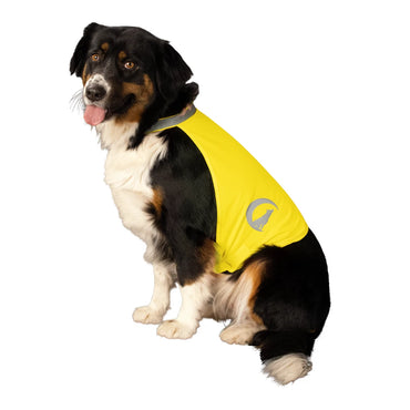 Nightwalk advarselsvest hund Gul L