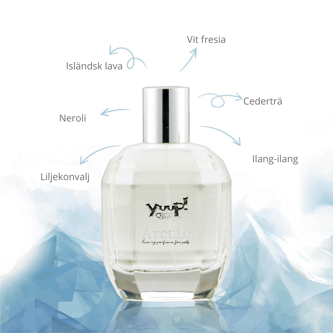 ARCTIC Parfume 100ml YUUP!