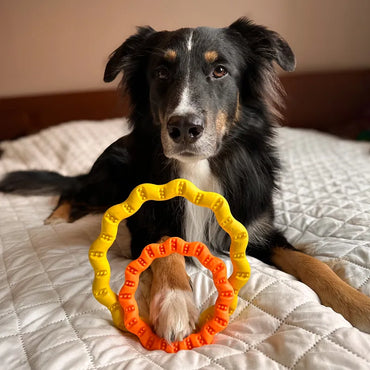 Fringoo, Ring 18cm