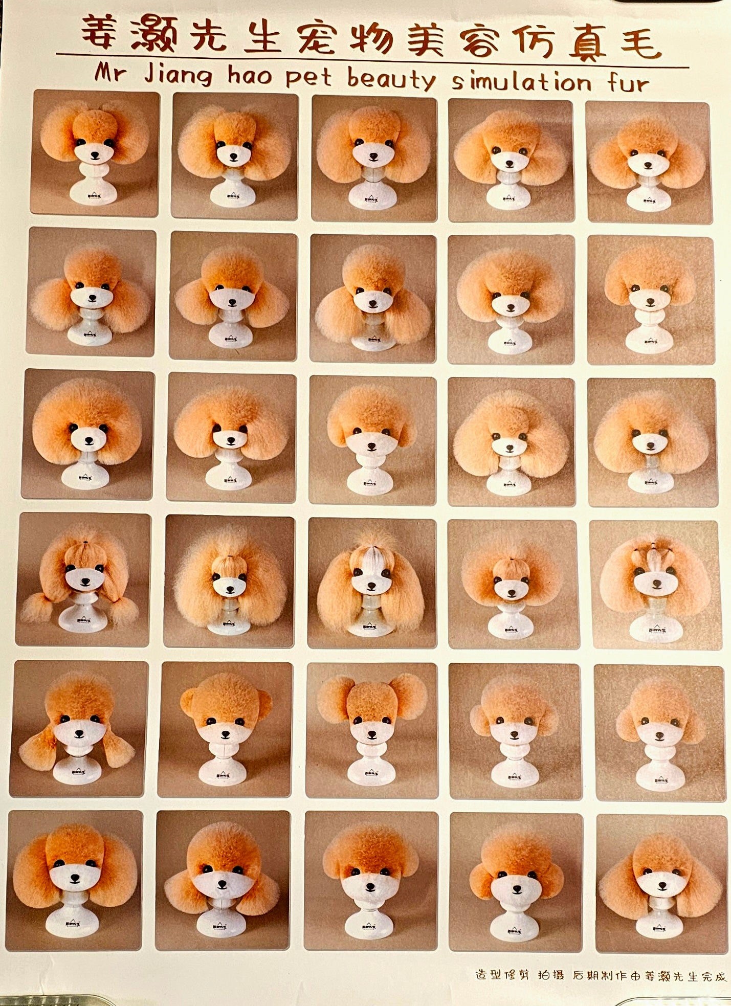 Mr. Jiang poster Teddy klippning
