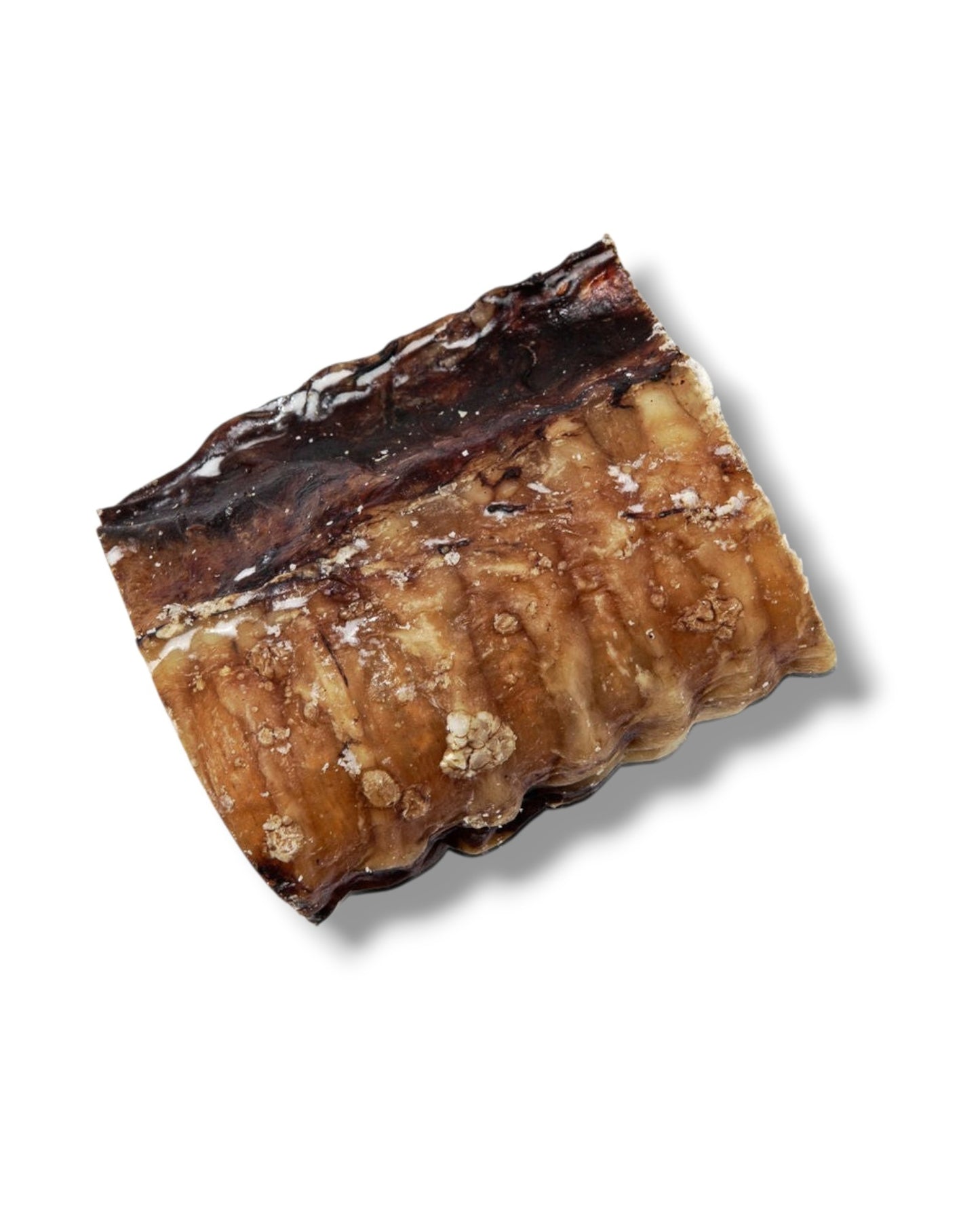Rauh! Beef Trachea - oxstrupe