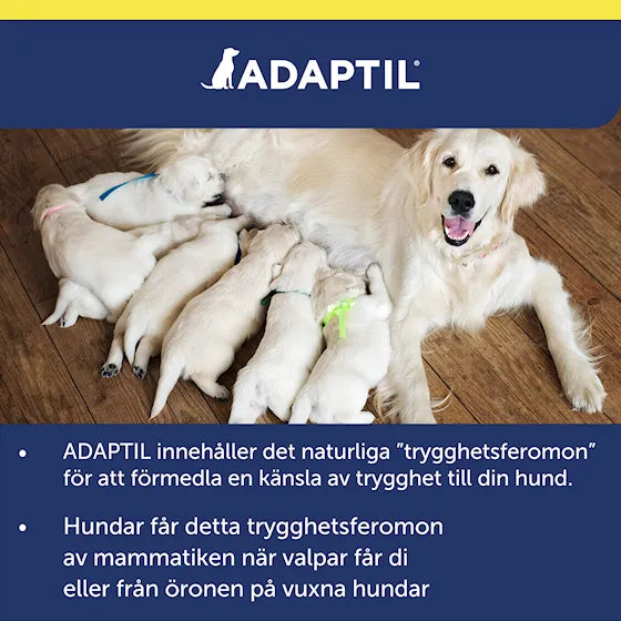 ADAPTIL Transport Spray