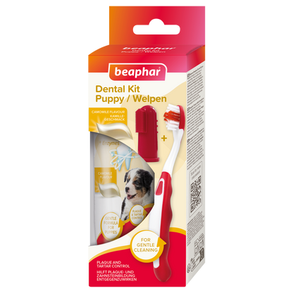 Beaphar Valpkit tandkräm och tandborste