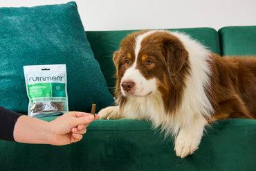 Rauh/Nutriment - Digestion Snack 90g