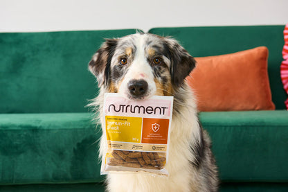 Rauh/Nutriment - Immune Defence Snack 90g