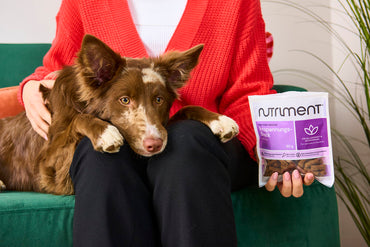Rauh/Nutriment - Relax Snack 90g