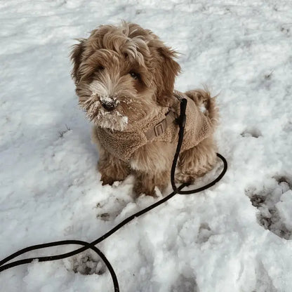 Puppy Bohéme Nallejacka med sele