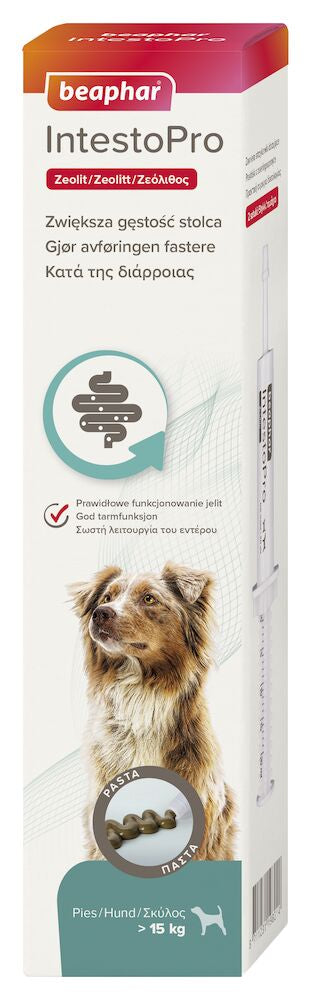 Beaphar IntestoPro Pasta hund & katt +15kg