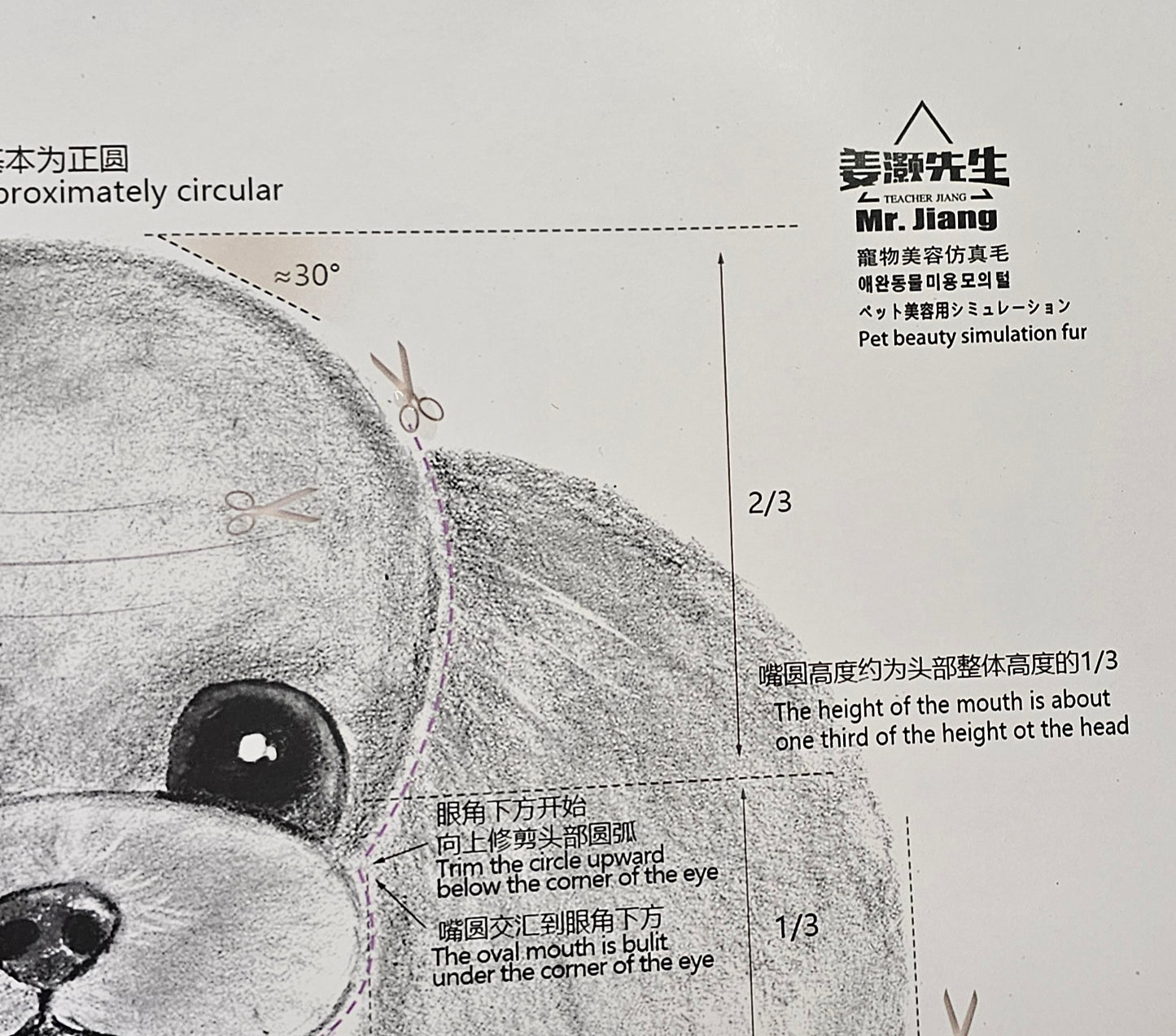 Mr. Jiang klipp guide för Teddy klipp HUVUD