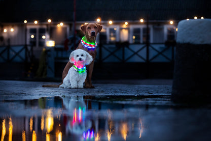 Dogman Blinkhalsband LED Lime Grön
