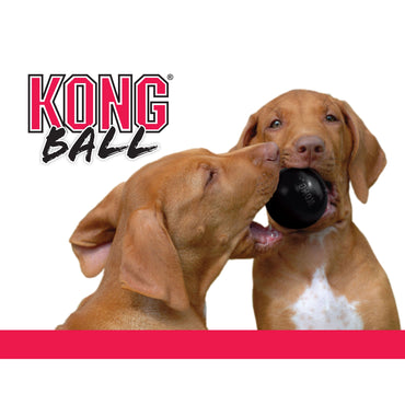 Hundleksal KONG Extreme ball