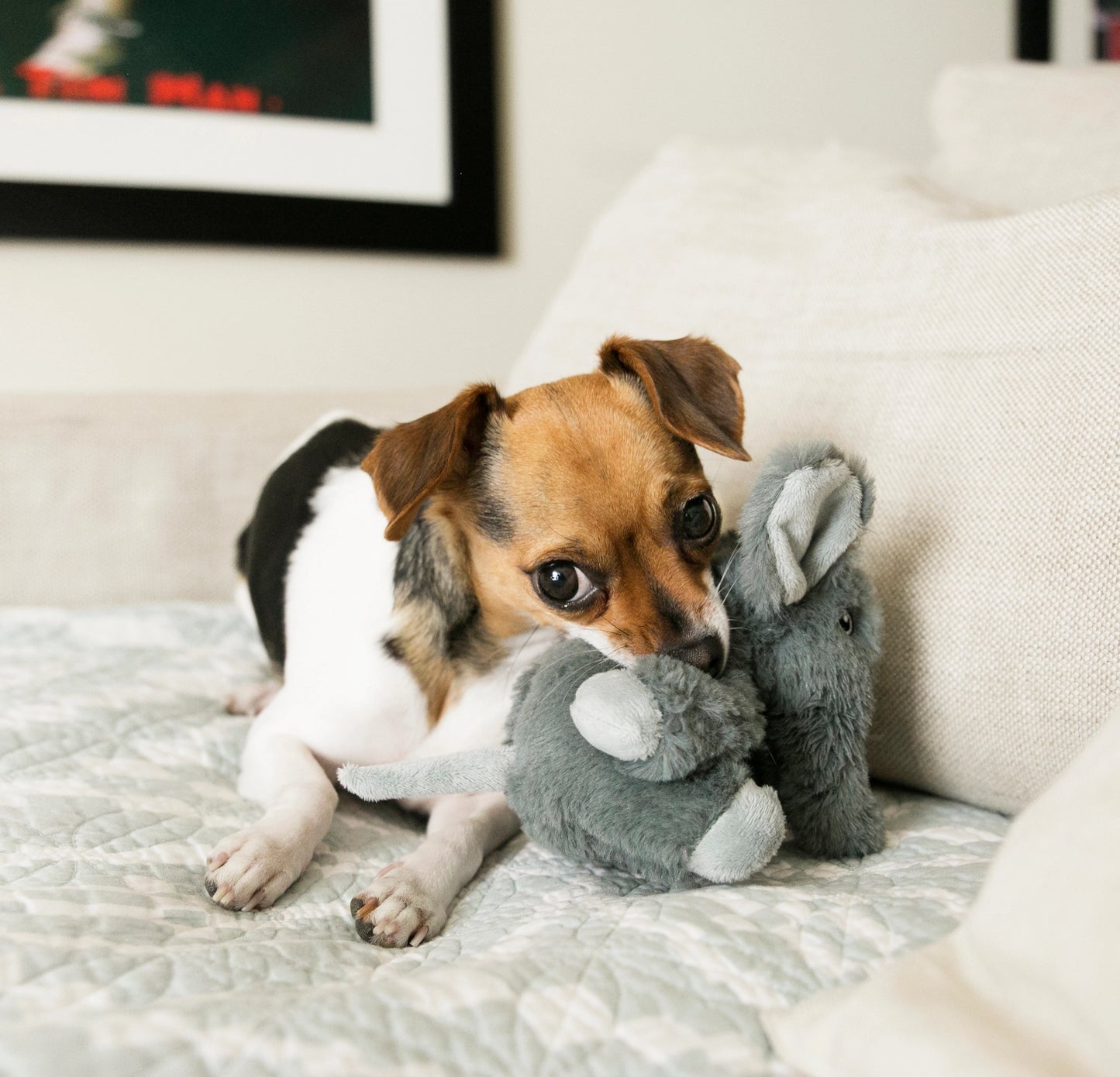 Hundleksak -KONG  Comfort Kiddos Elephant