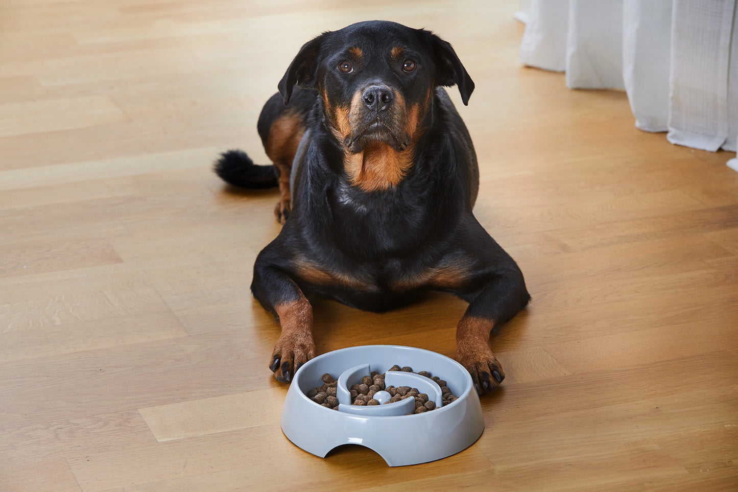 Slow Feed Matskål Dogman Alva