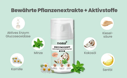 noms+ Enzymatisk tandkräm för hundar 75ml