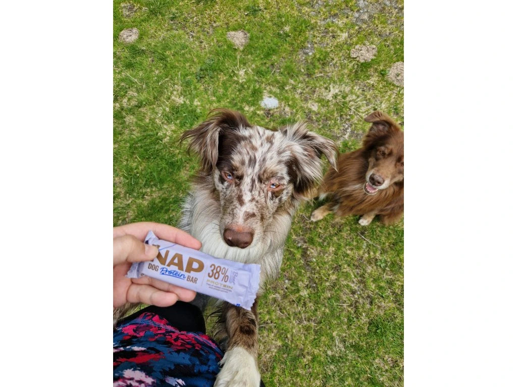 NAP Hundproteinbar - Nötkött med lavendel 50g