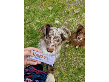 NAP Hundproteinbar - Nötkött med lavendel 50g
