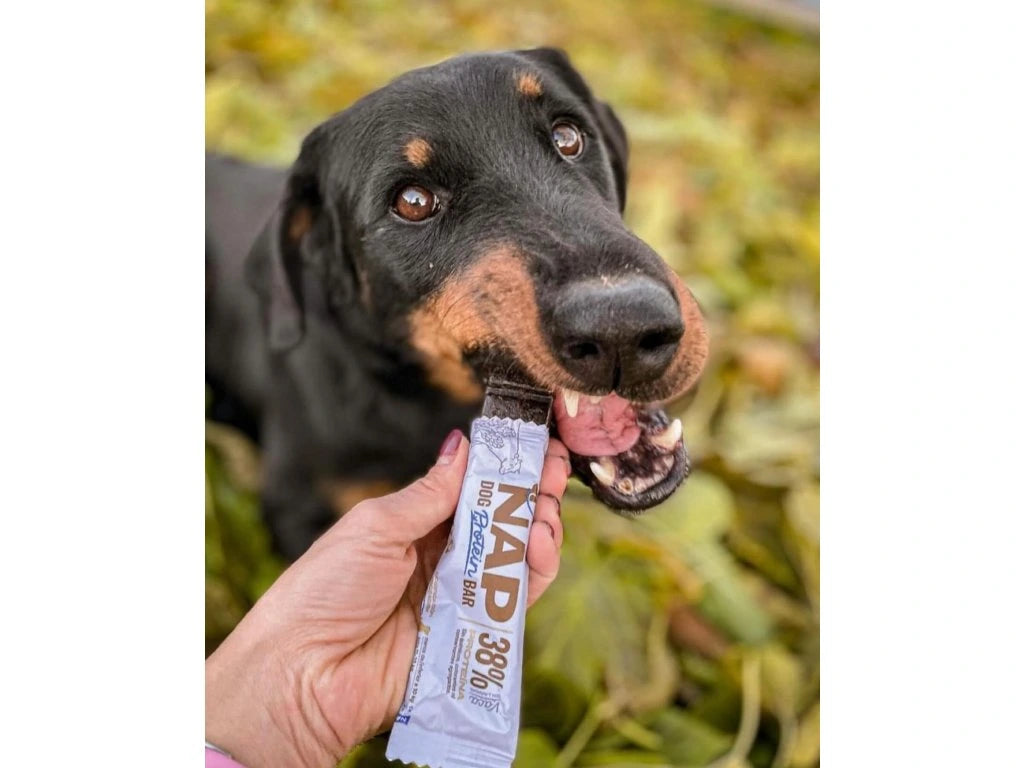 NAP Hundproteinbar - Nötkött med lavendel 50g