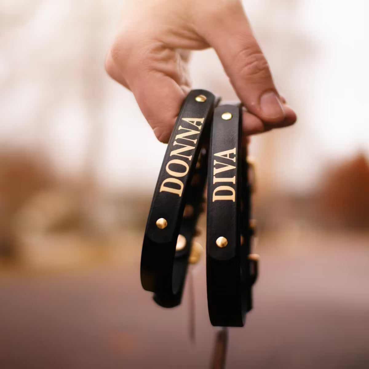Ställbart BioThane® hundhalsband med mässingdetaljer