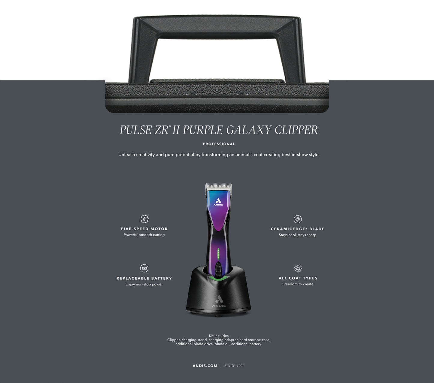 Andis Pulse ZR II sladdlös klippmaskin GALAXY