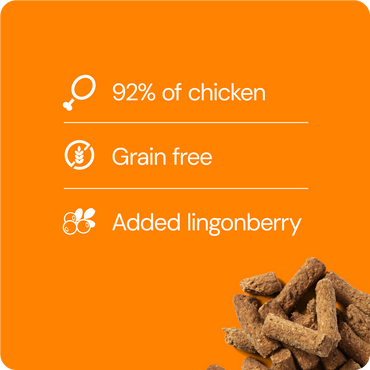 Rauh! Chicken-Lingonberry Treat 100 g