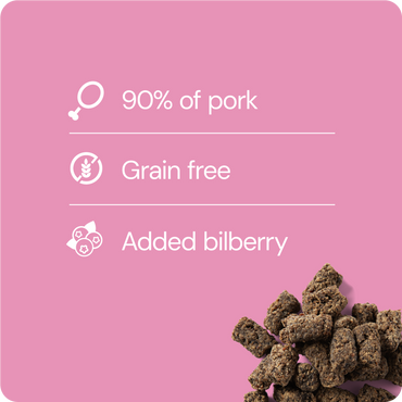 Rauh! Pork-Bilberry Treat 100 g