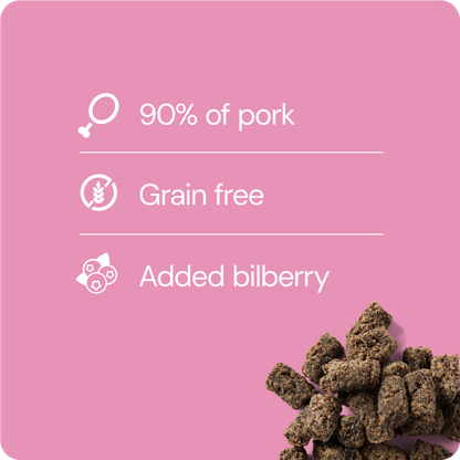 Rauh! Pork-Bilberry Treat 100 g