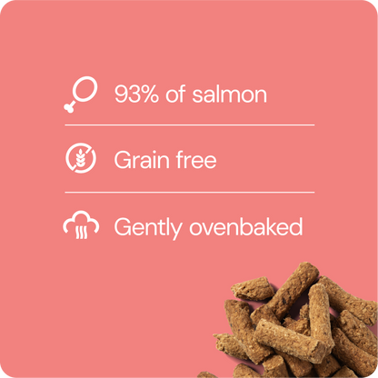 Rauh! Salmon Treat 100 g