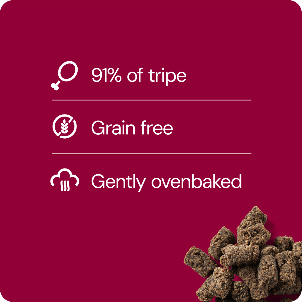Rauh! Beef Treat 100 g