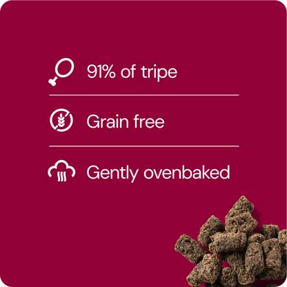 Rauh! Beef Treat 100 g