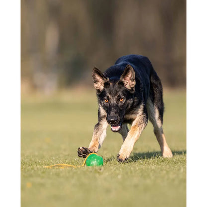 Starmark Gripcord Chew Ball Loop