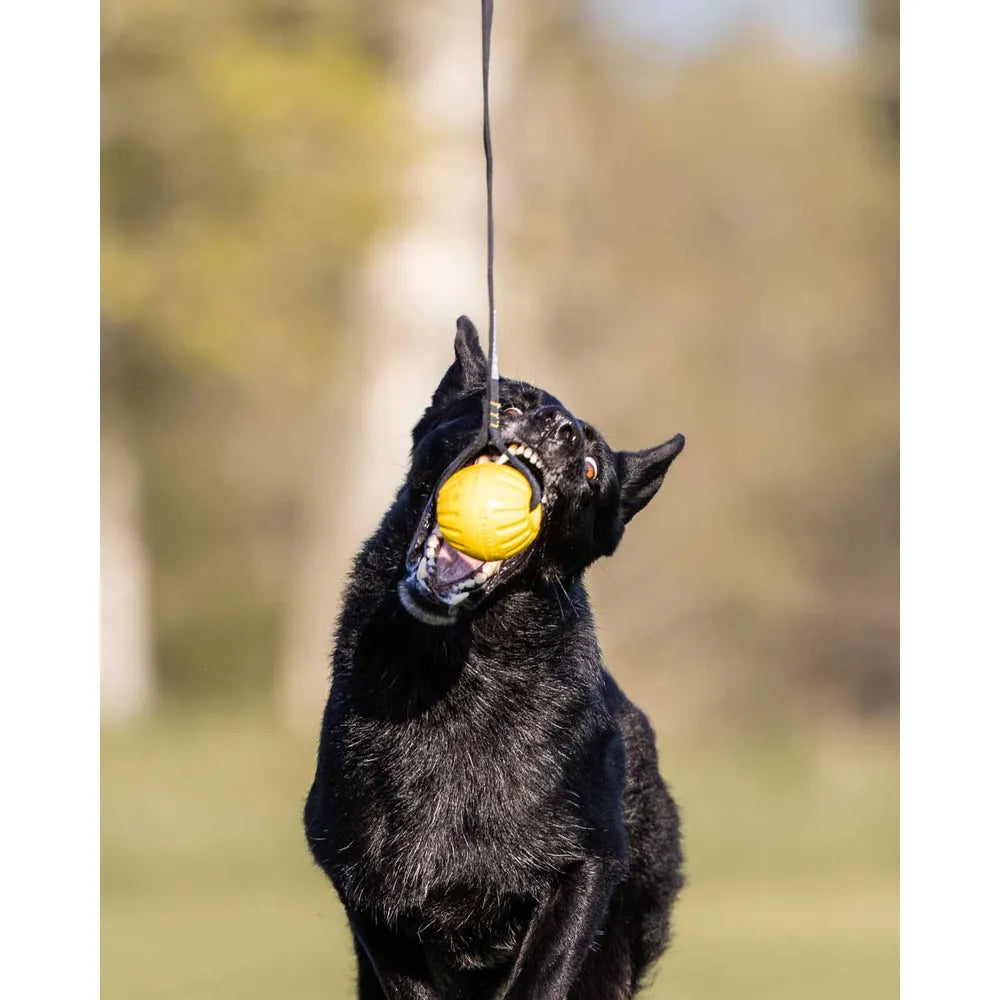 Starmark Gripcord Durafoam Ball Long
