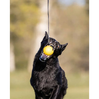 Starmark Gripcord Durafoam Ball Loop