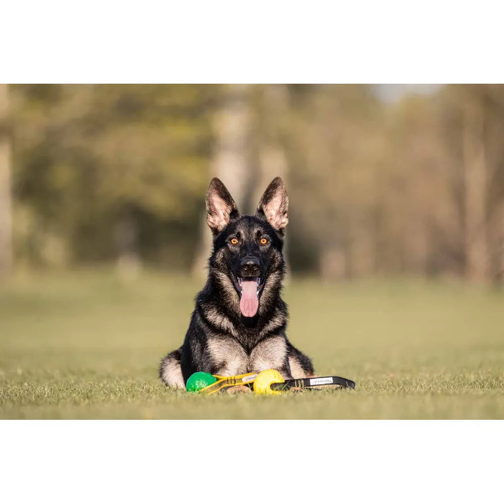 Starmark Gripcord Durafoam Ball Long
