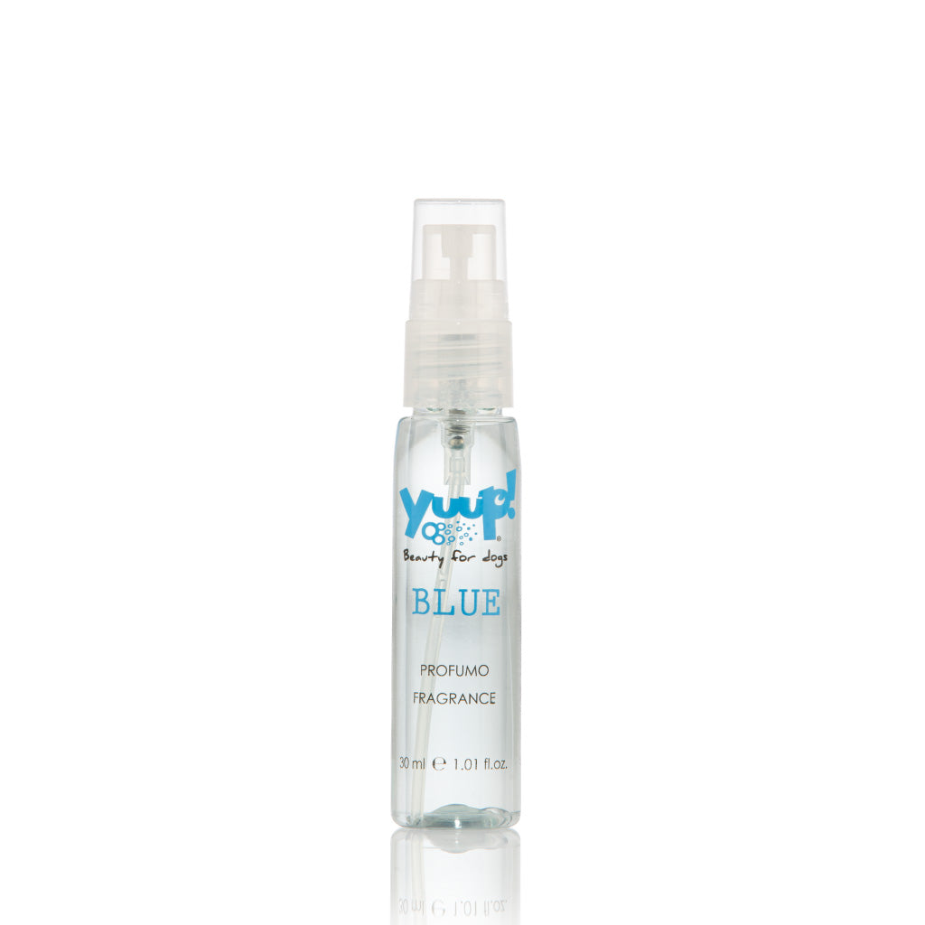 Yuup! Blue PARFUME 30ml