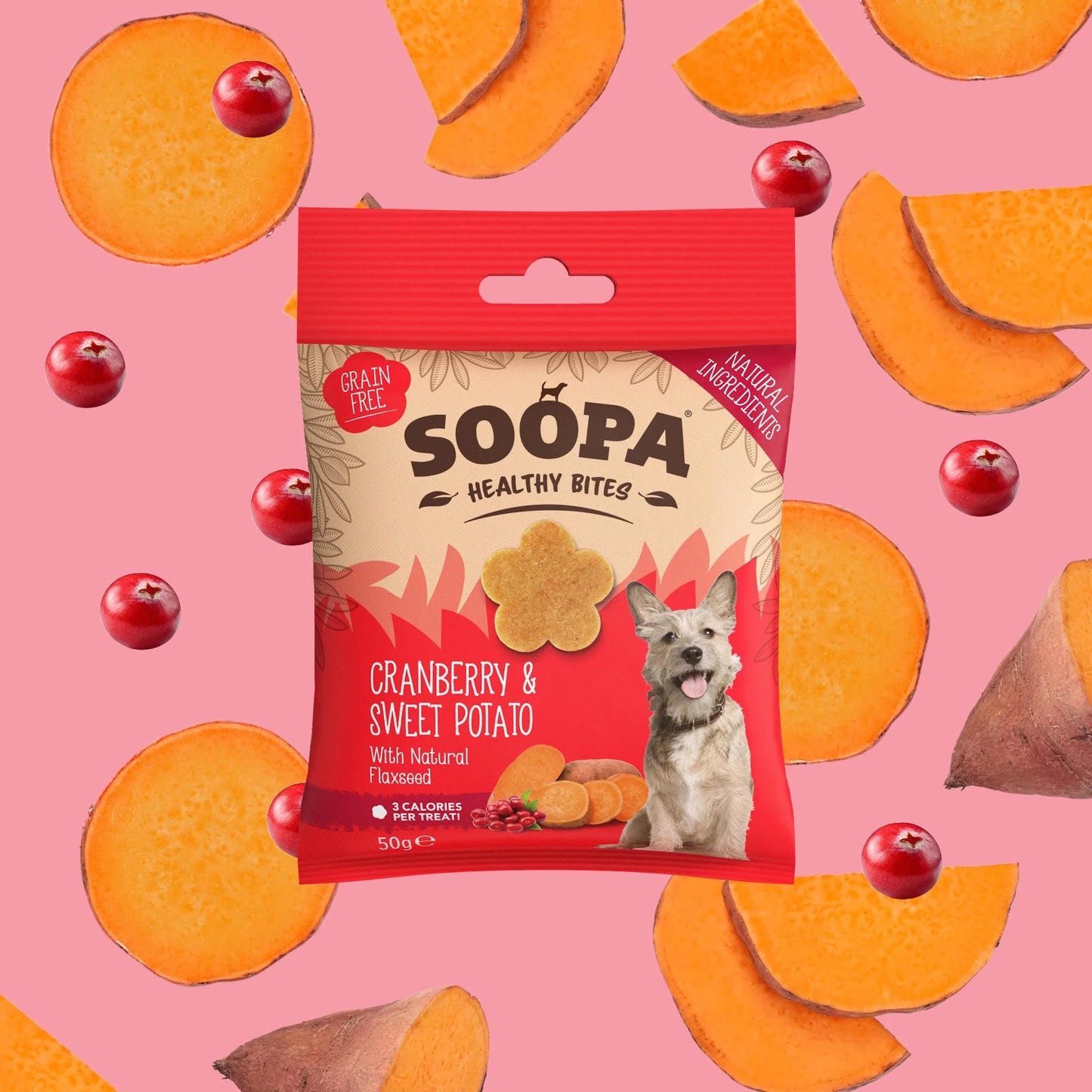 SOOPA Bites Tranbär & Sötpotatis hundgodis