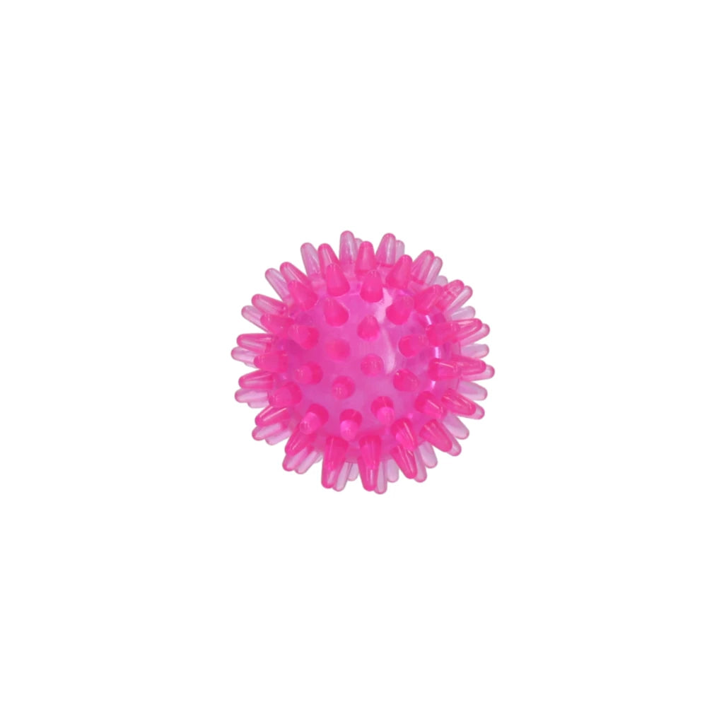 Dog Comets Exoplanet Spiky Ball Pink