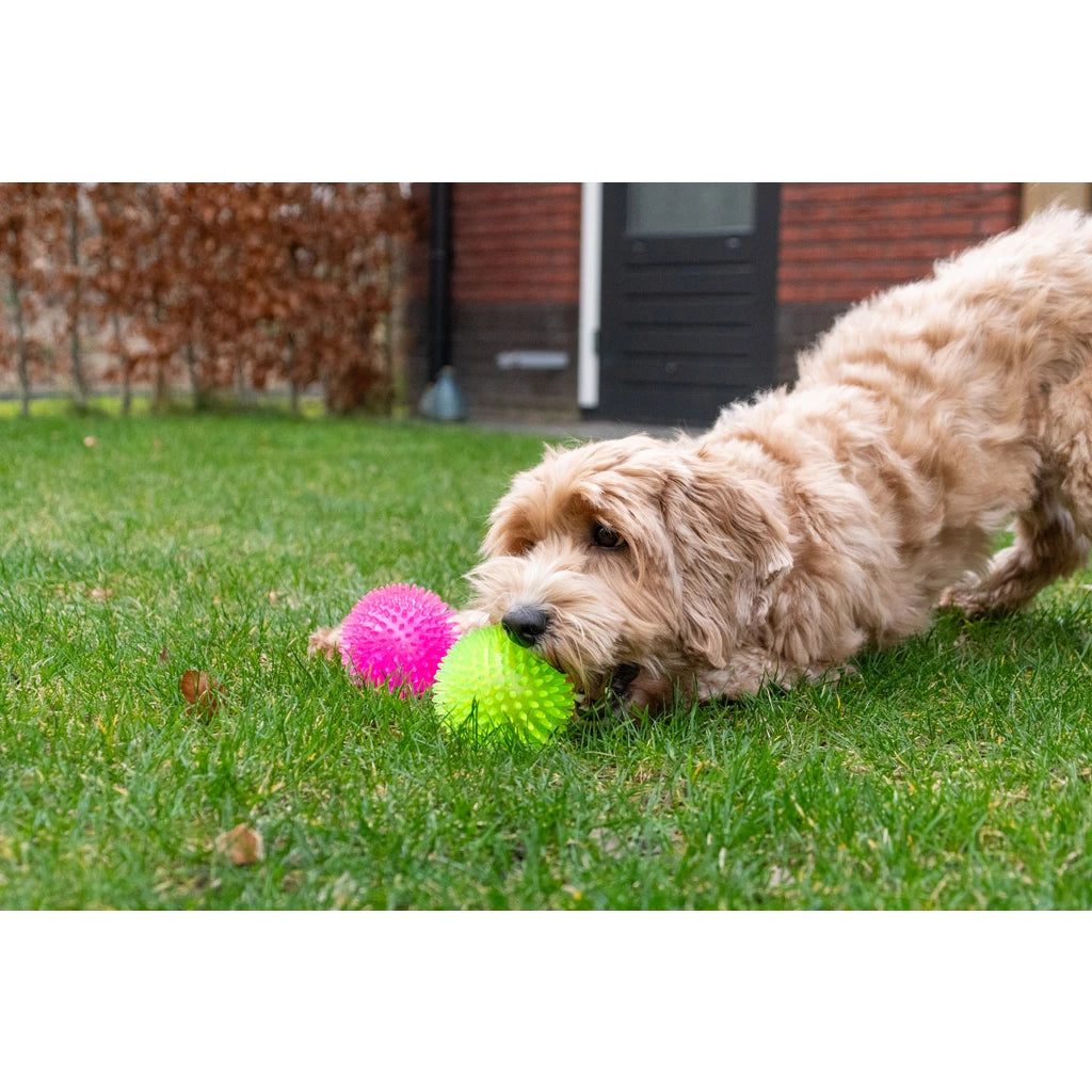 Dog Comets Exoplanet Spiky Ball Pink